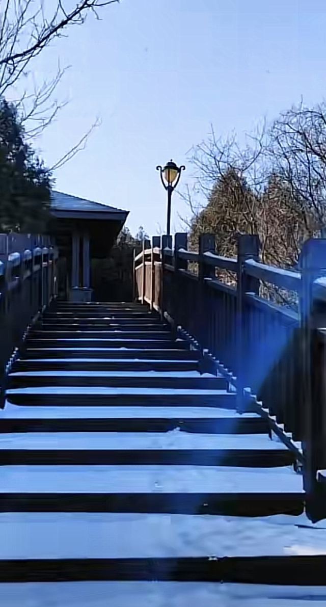 椒金山山体公园旅行图片 1
