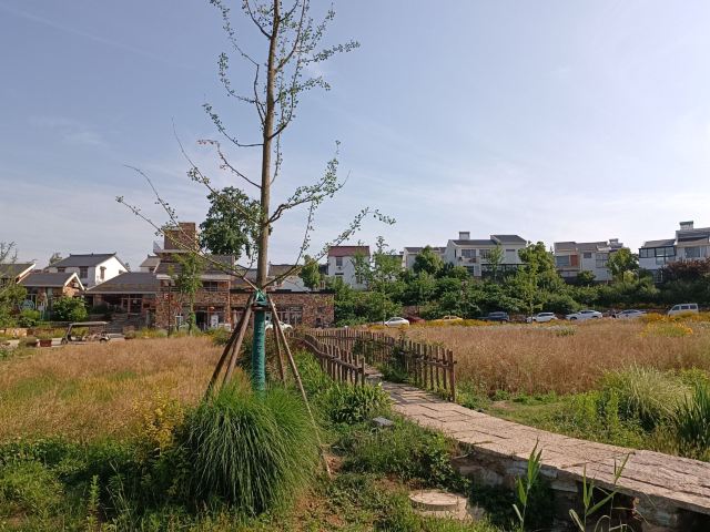 佘村明清代建筑群旅行图片 1