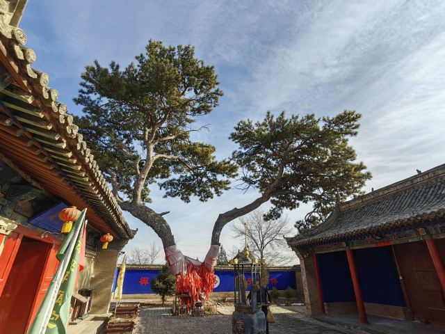 重泰寺旅行图片 6