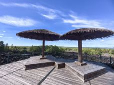 五大连池风景区-龙门石寨景区-五大连池-大    牛