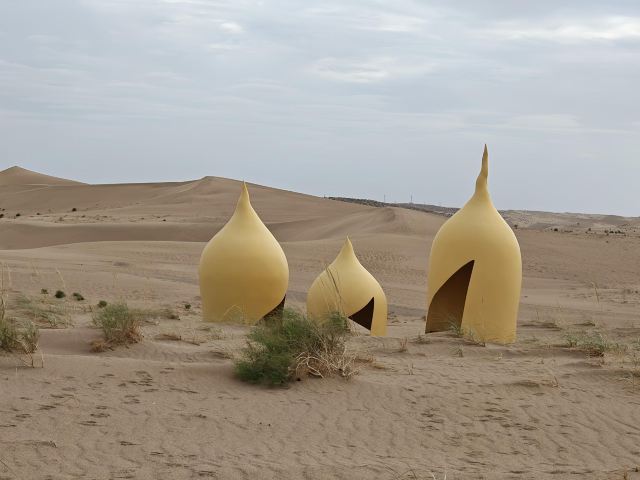 沙漠雕塑公园旅行图片 3