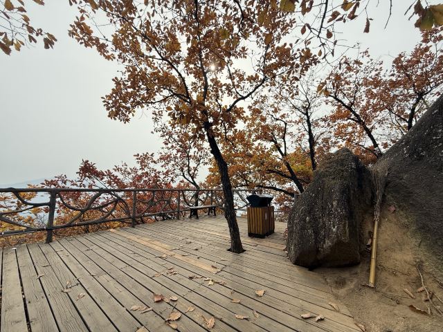 朱雀山国家森林公园旅行图片 4