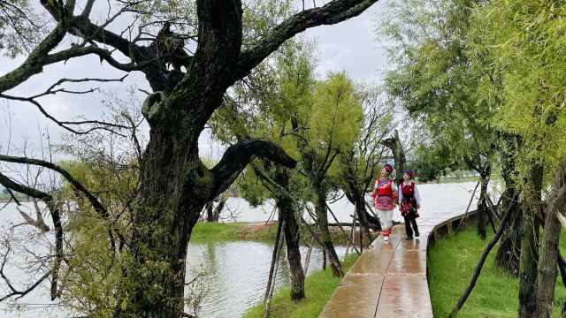 黄龙潭公园旅行图片 1