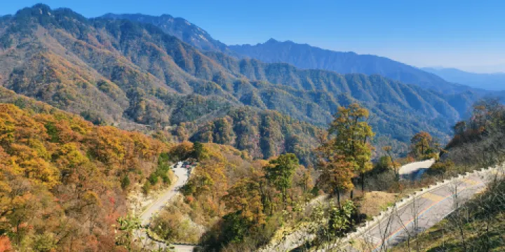 金寨（中國紅嶺公路）