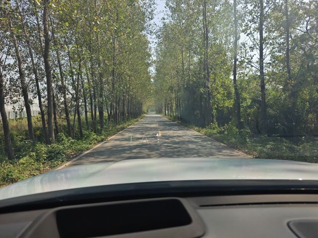 铁山寺国家森林公园旅行图片 2