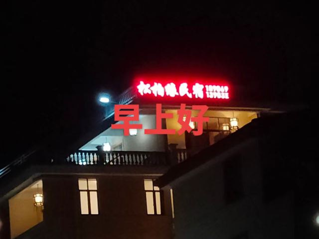 松柏村樱花园(网红打卡点)旅行图片 8