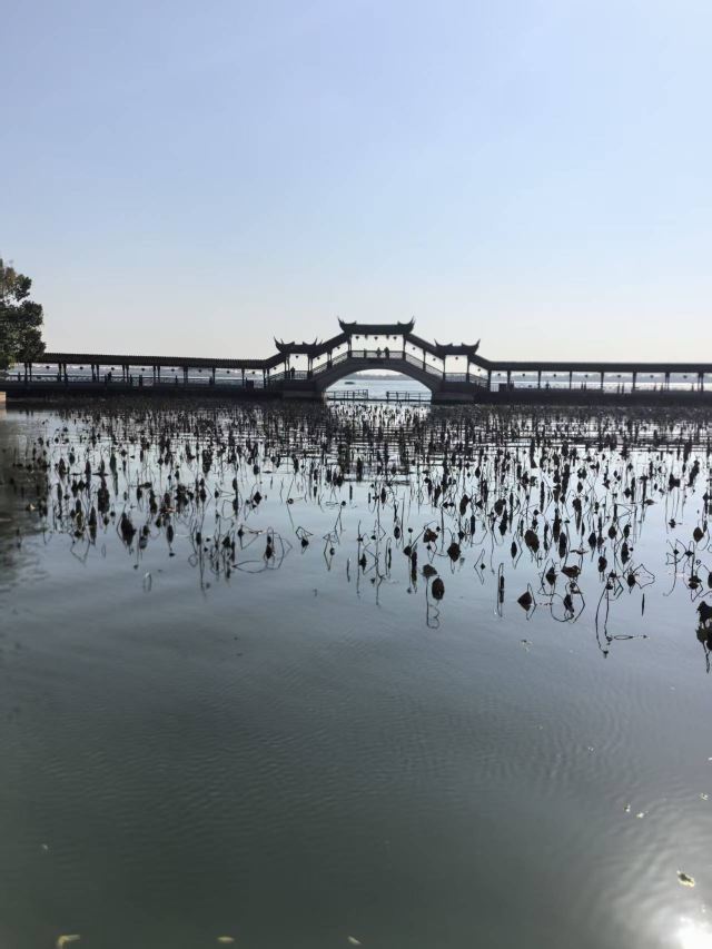 锦溪古镇旅行图片 5