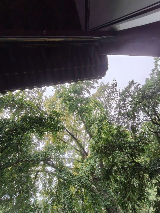 岱庙旅行图片 5