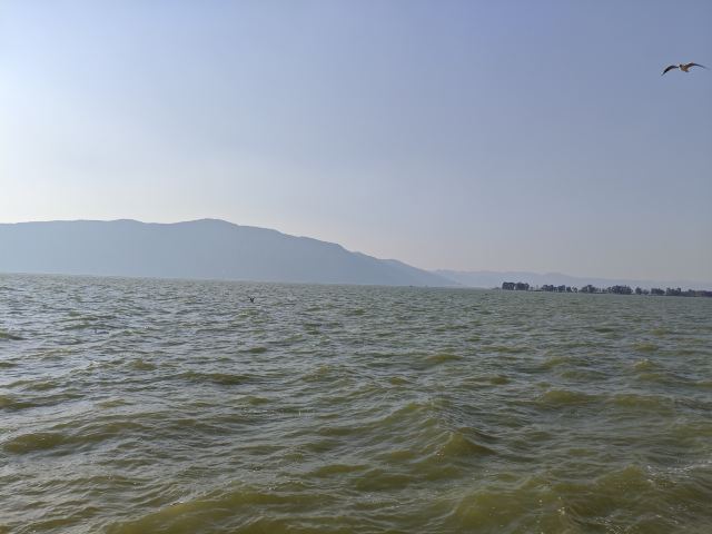 福保小三亚旅行图片 1
