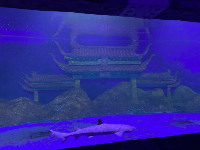 秦皇岛新澳海底世界旅行图片 1