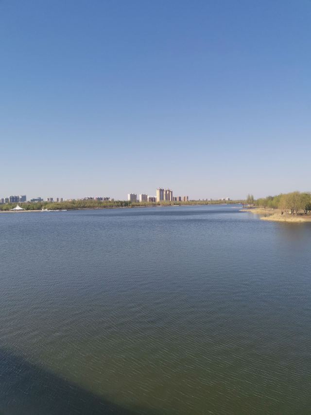 人民公园旅行图片 1