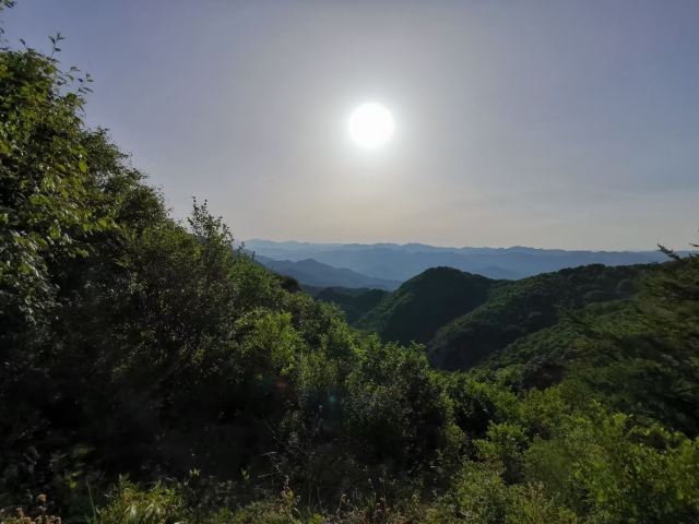 玫瑰谷旅行图片 11