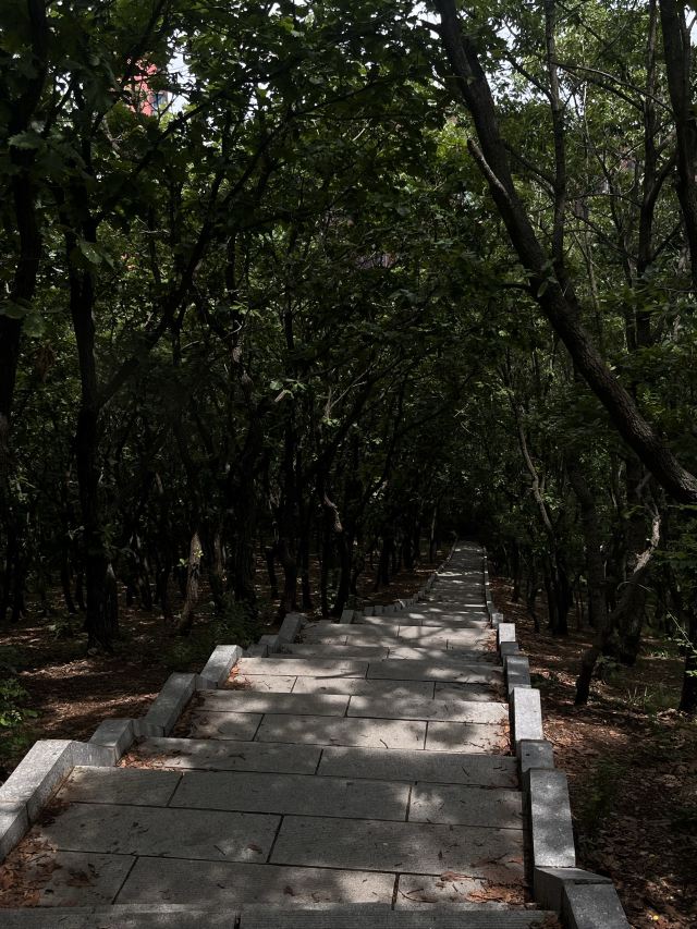 红崖晓寺旅行图片 3
