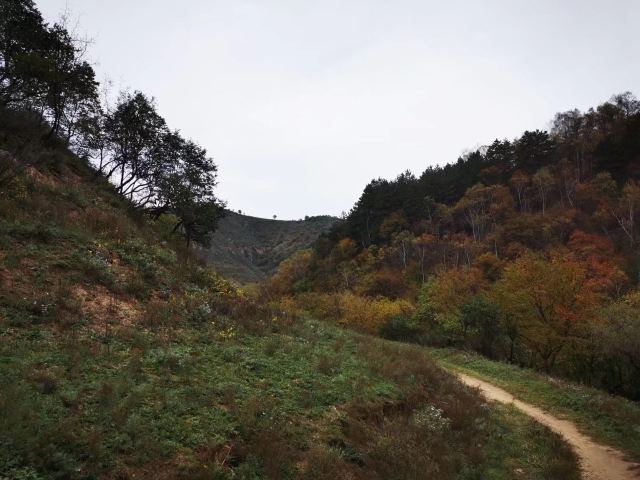 富县秦直道景区旅行图片 13