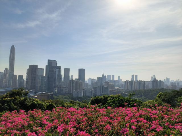 莲花山公园旅行图片 12