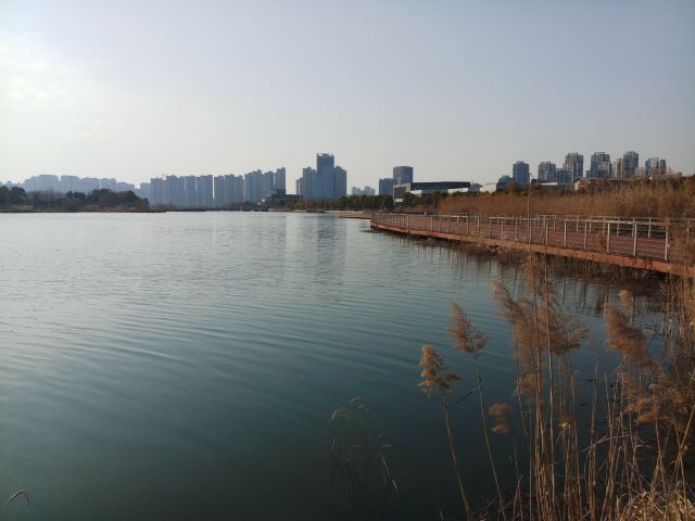 安徽宣城宛陵湖省级湿地公园旅行图片 1