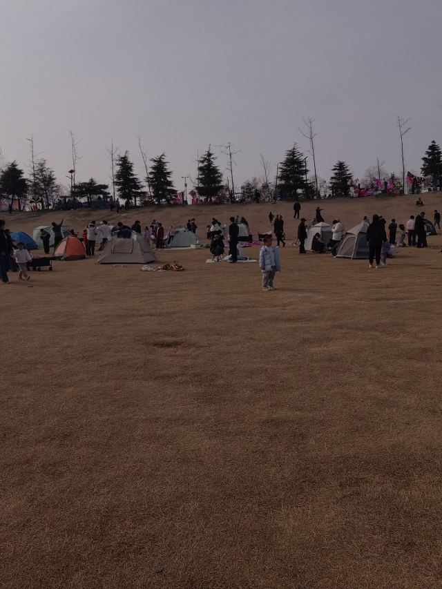 月牙岛旅行图片 5