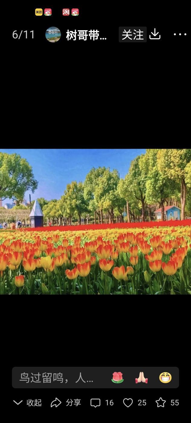 上海大宁公园旅行图片 1