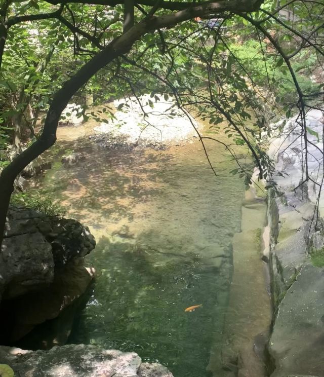 尼珠河大峡谷生态文化旅游区旅行图片 1