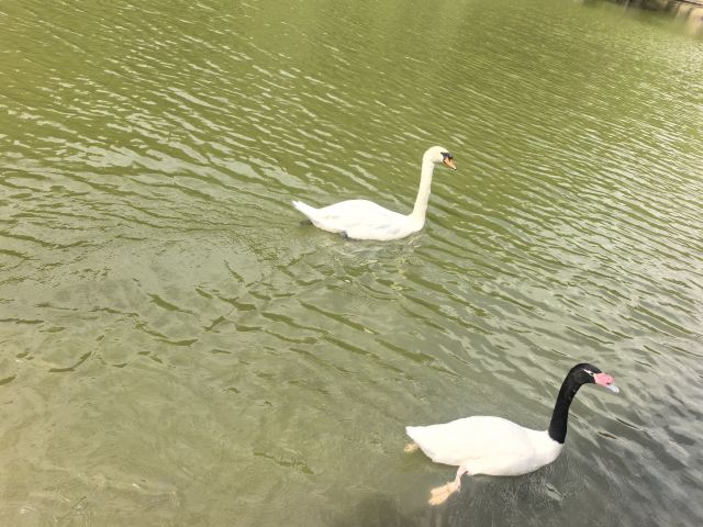 福州动物园旅行图片 1