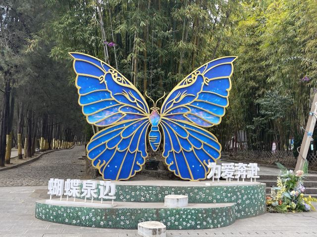 蝴蝶泉旅行图片 2