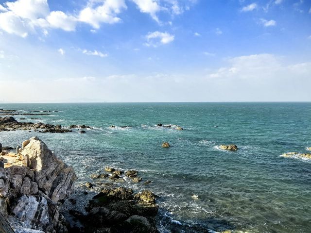 养马岛林间花海旅行图片 8
