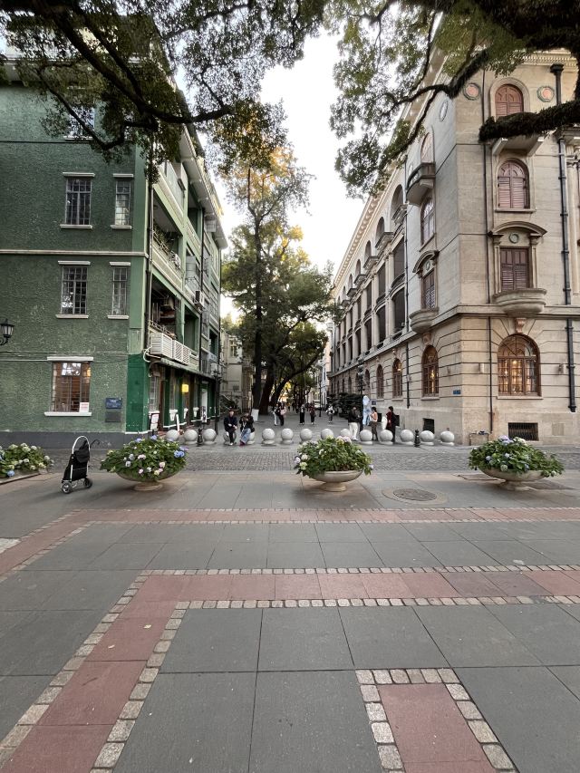 沙面旅游区旅行图片 2