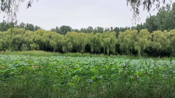 灤縣森林公園