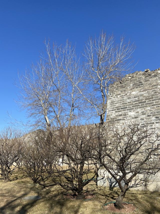 北京明城墙遗址公园旅行图片 3