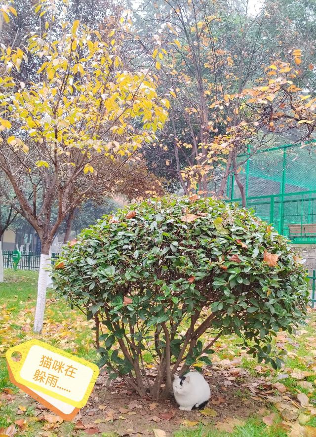 西安市纺织公园旅行图片 2