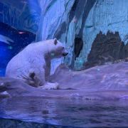 肇东 天气预报40天