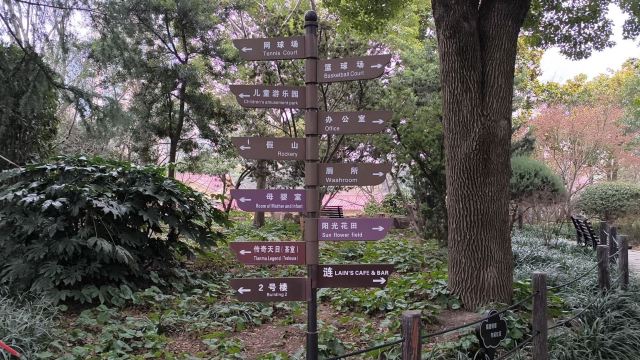曲阳公园旅行图片 6