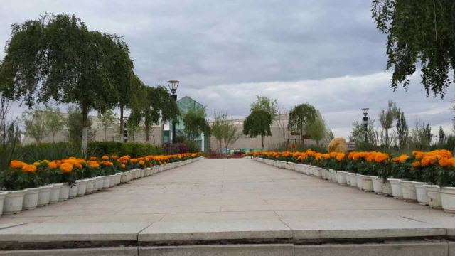 将军楼公园旅行图片 5