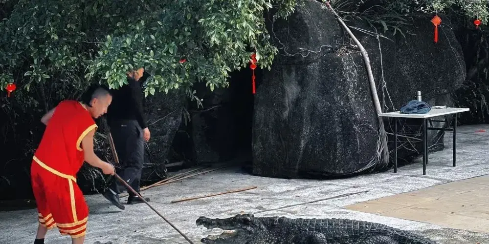 永安旅遊