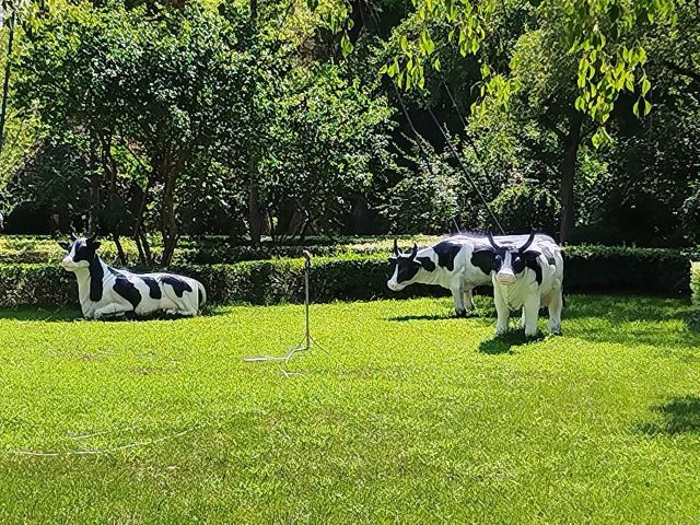 迎泽公园旅行图片 4
