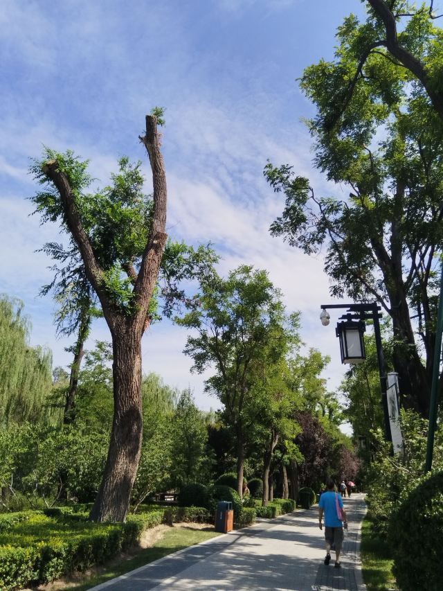 迎泽公园旅行图片 6