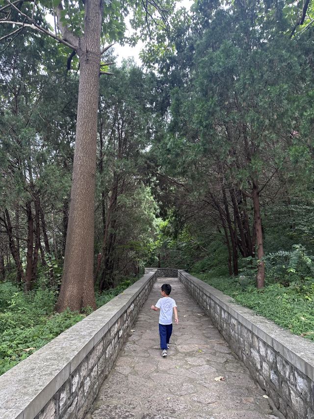 四门塔旅行图片 3
