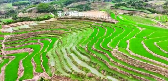 牙胡梯田景区旅行图片