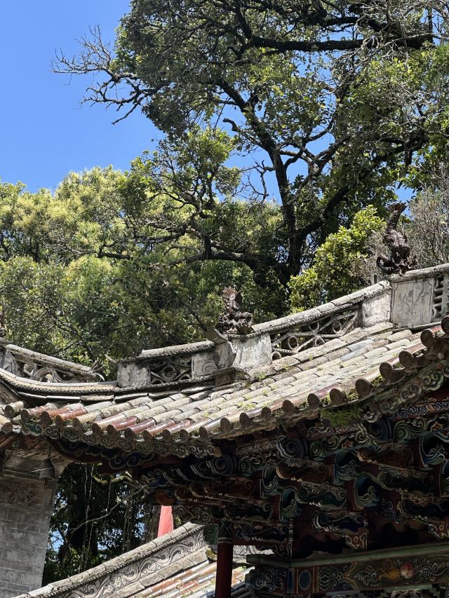 巍宝山景区旅行图片 7