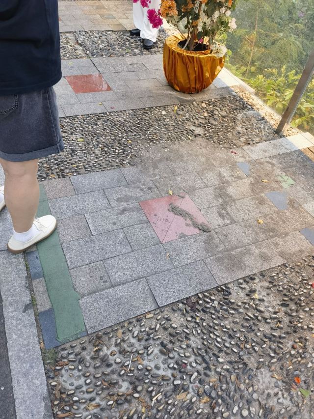 三亚南山文化旅游区旅行图片 4