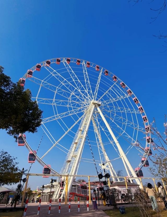 上海顾村公园旅行图片 2