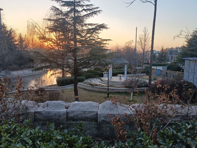 青小园-香蜜湖口袋公园旅行图片 3