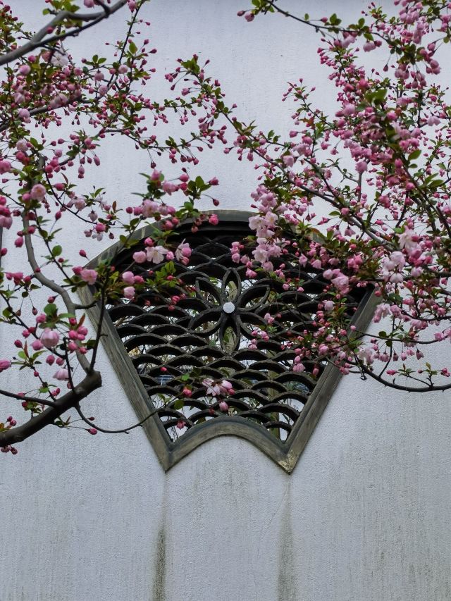 闸北公园旅行图片 7