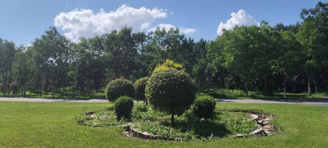 呼和浩特市植物园旅行图片 2