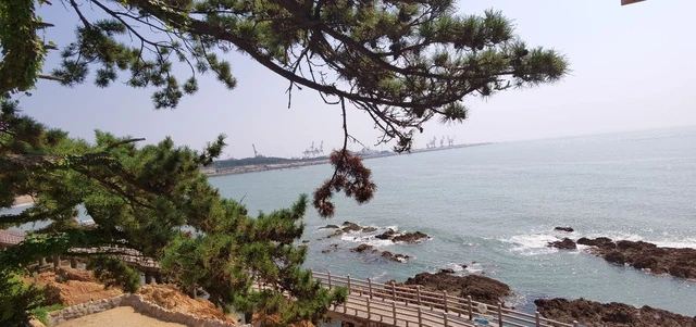石岛公园旅行图片 1
