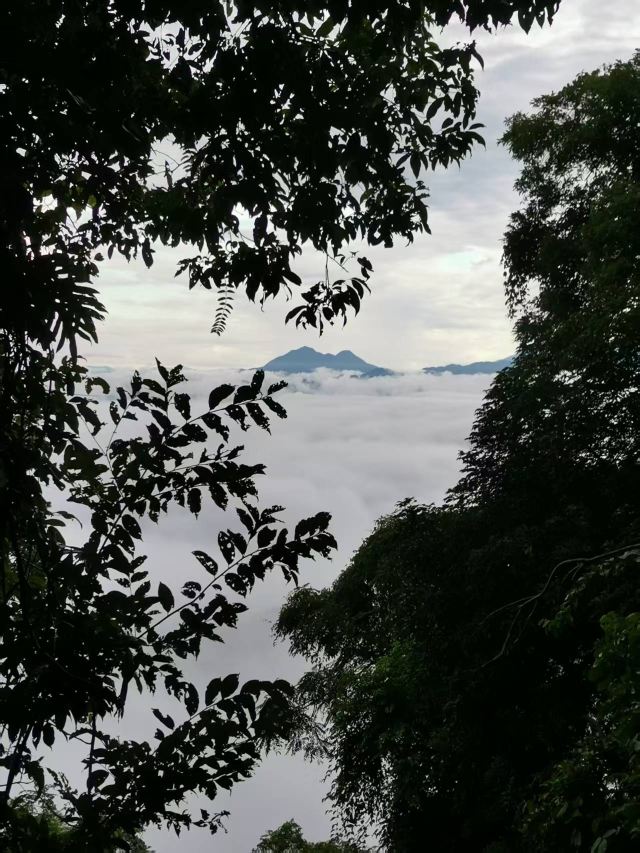 海南百花岭热带雨林文化旅游区-小卖部旅行图片 4