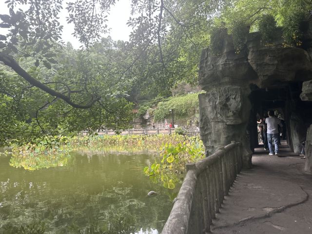 鹅岭公园旅行图片 3
