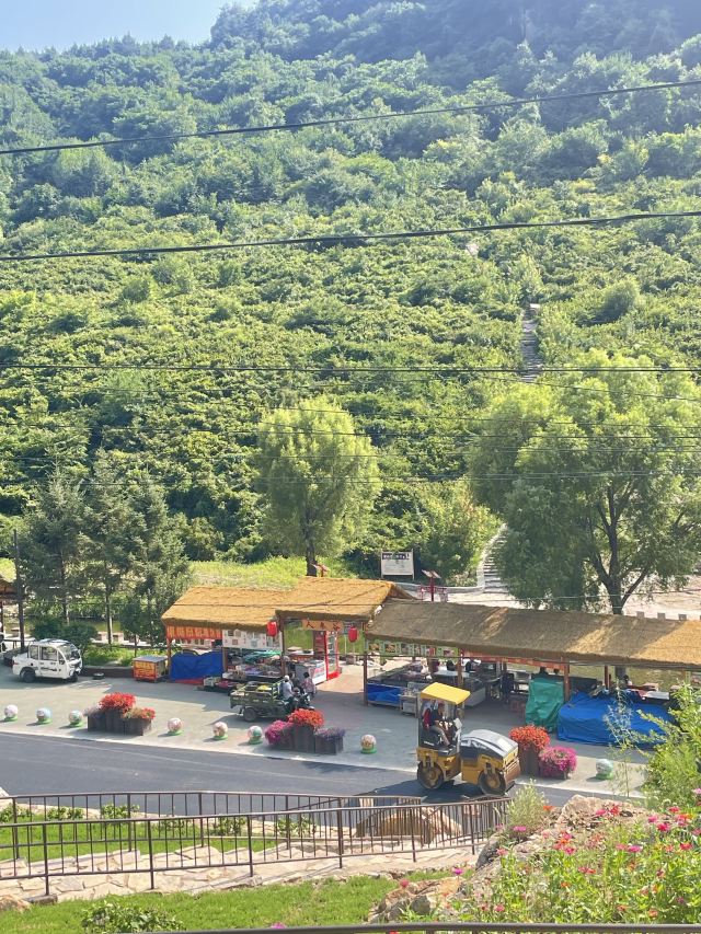 人参谷森林公园旅行图片 2