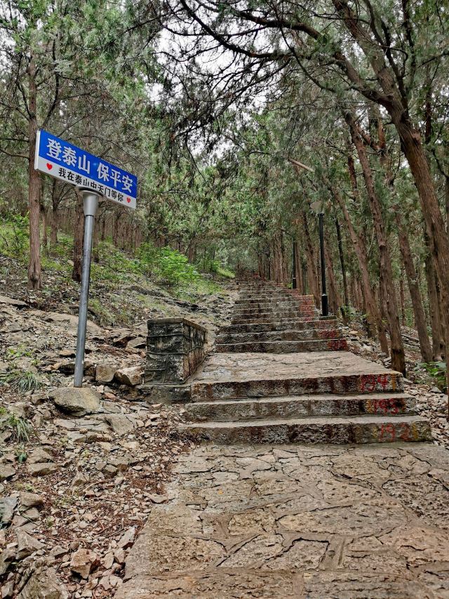 泰山寺旅行图片 2