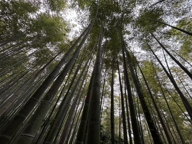 南山风景区旅行图片 3